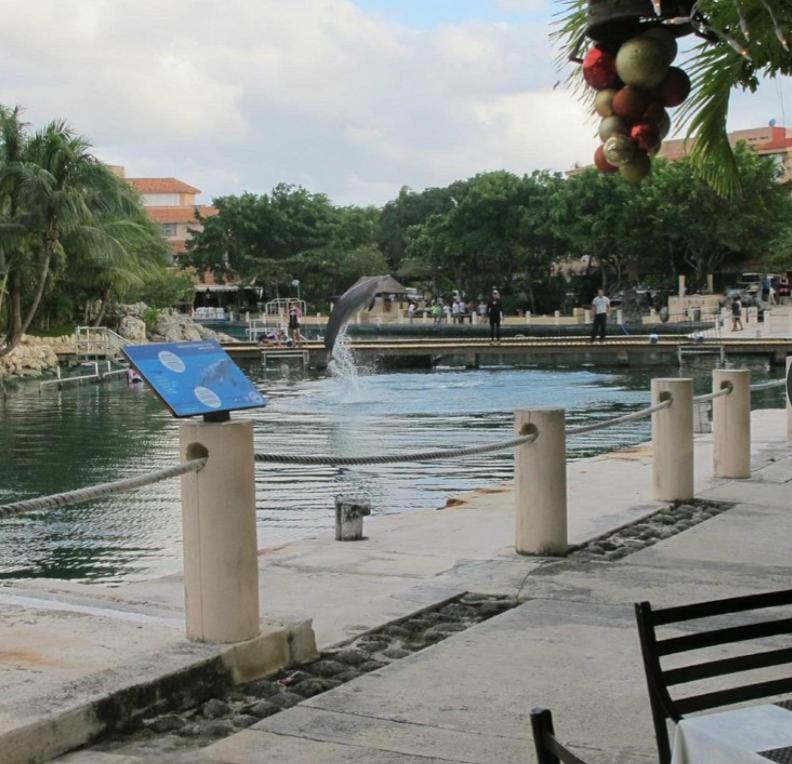 Апартаменты Puerto Aventuras, Departamento A Unos Pasos De La Playa Экстерьер фото